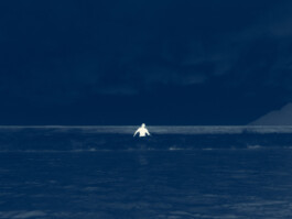 Swimming with Gerrit Knein for ORCA WETSUITS, Ruben Schmitz 