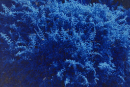 Gerrit Knein for Pas Normal Studios, Ruben Schmitz 