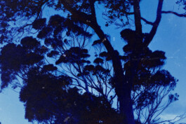 Gerrit Knein for Pas Normal Studios, Ruben Schmitz 